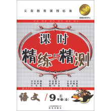 爱博教育·课时精练与精测：语文（9年级全）（R）