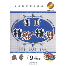 爱博教育·课时精练与精测：数学（9年级全）（R）