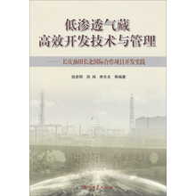 低渗透气藏高效开发技术与管理-长庆油田长北国际合作项目开发实践