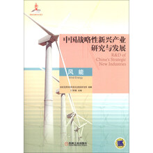 风能-中国战略性新兴产业研究与发展