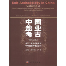 中国盐业考古(第3集):长江上游古代盐业与中坝遗址的考古研究