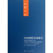2013中国理财市场报告