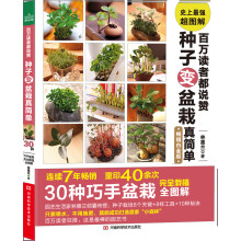 百万读者都说赞：种子变盆栽真简单
