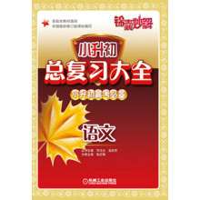 锦囊妙解·小升初总复习大全:语文
