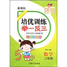 培优训练 举一反三 数学 2年级（全国通用版）