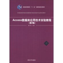 Access数据库应用技术实验教程(第2版)