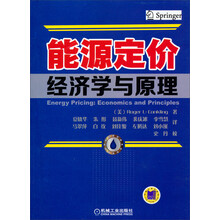 能源定价经济学与原理
