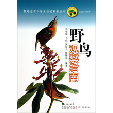 最贴近青少年生活的科普丛书:野鸟观察指南