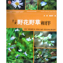 与野花野草相伴