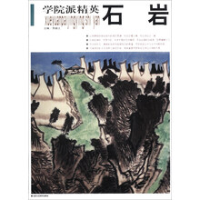 学院派精英：石岩