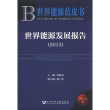 世界能源蓝皮书：世界能源发展报告（2013）