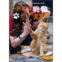 一只名叫鲍勃的流浪猫