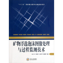 矿物浮选泡沫图像处理与过程监测技术