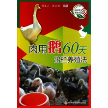 肉用鹅60天出栏养殖法