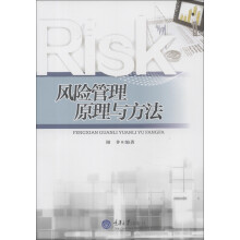 风险管理原理与方法