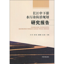 长江中下游水污染防治规划研究报告