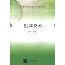 组网技术