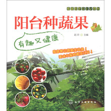 阳台种蔬果-有趣又健康