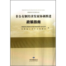 非公有制经济发展协调推进政策指南