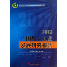 2013-中国煤炭工业发展研究报告