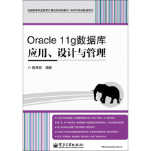 全国高等职业教育计算机类规划教材·实例与实训教程系列:Oracle 11g数据库应用、设计与管理