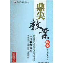 卓奥天瑞系列丛书·鼎尖教案：历史（必修2）（人民版）（全新修订）