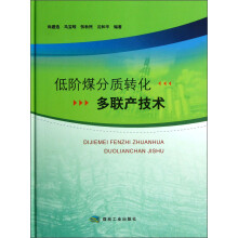 低阶煤分质转化多联产技术