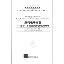 新兴电子商务：定价、多渠道协调与供应链优化