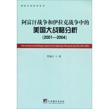 阿富汗战争和伊拉克战争中的美国大战略分析（2001-2004）