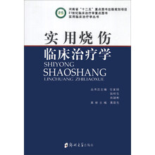 实用临床治疗学丛书：实用烧伤临床治疗学