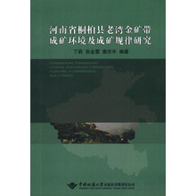 河南省桐柏县老湾金矿带成矿环境及成矿规律研究