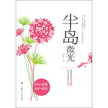 循环型社会及其规划理论和方法（构建和谐社会新学科新观念新思路）