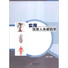 实用按摩人体解剖学