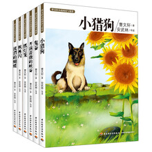 曹文轩小说阅读与鉴赏（套装共6册）《鬼谷》 《枫林闪》 《纸灯笼》 《小猎狗》 《流泪的蝴蝶》 《开满蔷薇的峡谷》