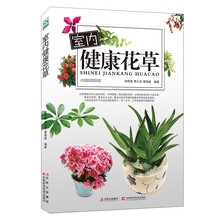 室内健康花草