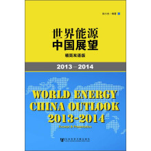 世界能源中国展望（2013-2014，精简双语版）