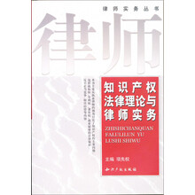知识产权法律理论与律师实务