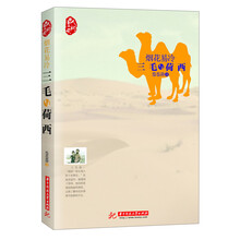 烟花易冷:三毛与荷西