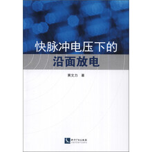 快脉冲电压下的沿面放电