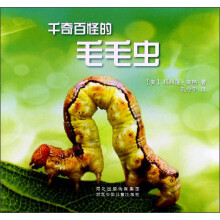 千奇百怪的毛毛虫