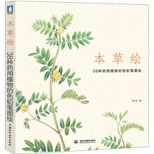 本草绘 38种药用植物的色铅笔图绘(发现中药最美的一面)