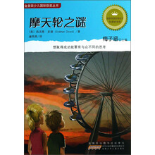 摩天轮之谜