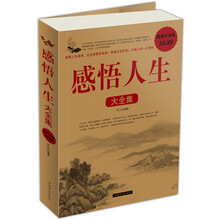 感悟人生大全集2
