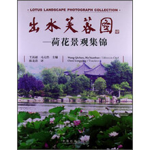 出水芙蓉图-荷花景观集锦