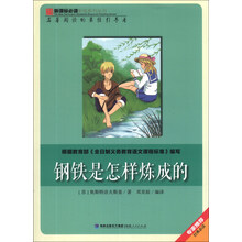 钢铁是怎样炼成的/新课标必读彩绘系列丛书