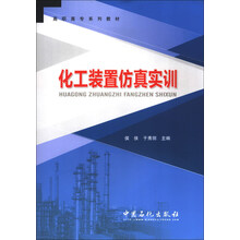 化工装置仿真实训