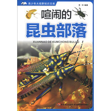 喧闹的昆虫部落－青少年大视野知识文库