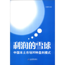 利润的雪球：中国本土市场30种盈利模式
