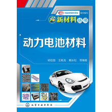 新材料丛书：动力电池材料
