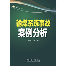 输煤系统事故案例分析
